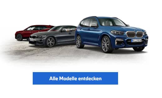Bandensponsor: Firma BMW Autohaus Höglinger-Denzel/Linz Tischtennis Leonding | Bandensponsor: Firma BMW Autohaus Höglinger-Denzel/Linz